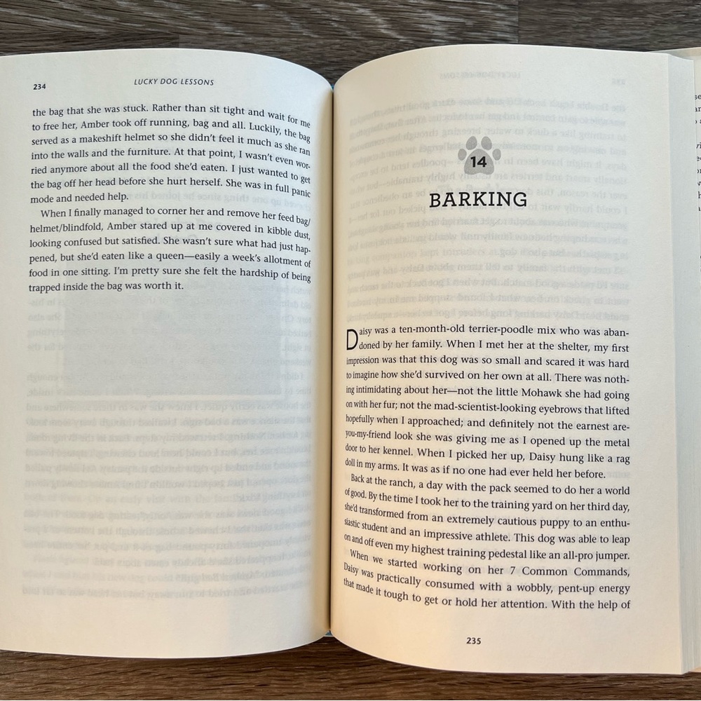 Lucky Dog Lessons book - Picture 5 of 5